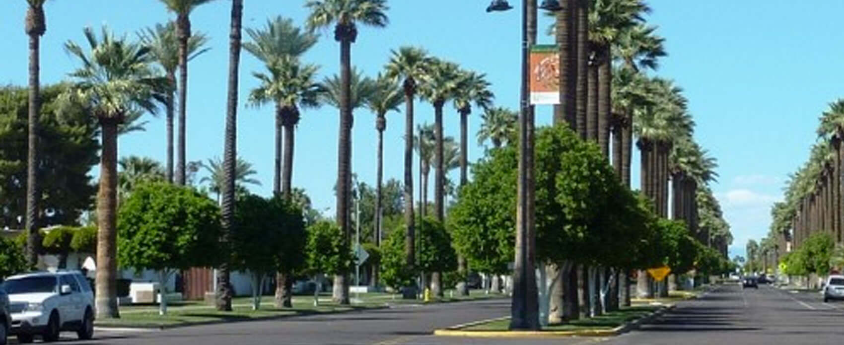 litchfieldpark AGD Auto Glass & Tint Co.