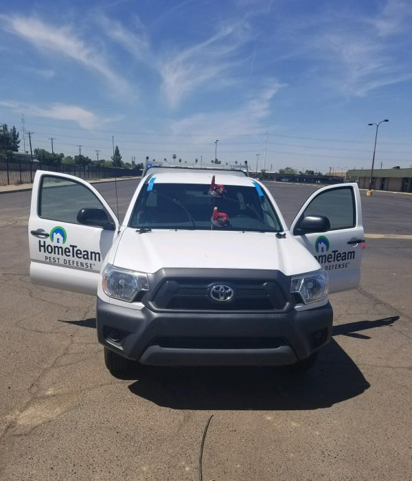 Gilbert Windshield Replacement Local Windshield Replacement Services